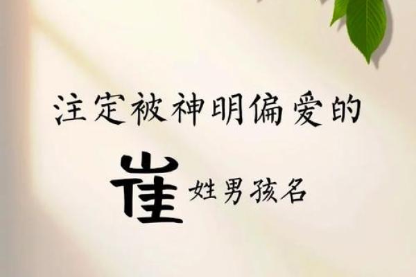 崔姓女孩名字大全-崔姓女孩起名字大全-崔姓名字大全姓名