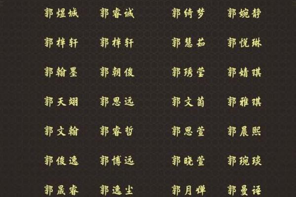 郭姓男孩名字大全-郭姓男孩起名字大全-郭姓名字大全姓名