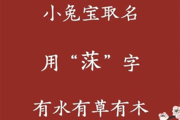 双胞胎女孩起名的四种方法和出处-姓名学-华易网姓名