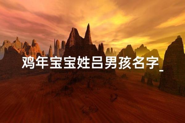 下午出生的属鸡男孩宜用什么字起名字姓名