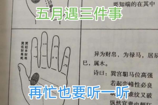 下午一点出生的属猴男孩如何取名，宜用什么字姓名