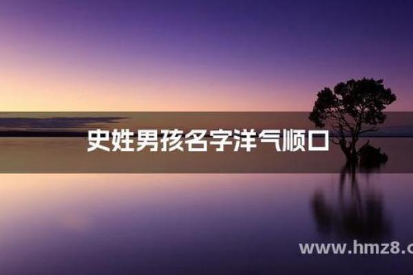 史姓男孩名字大全-史姓男孩起名字大全-史姓名字大全姓名