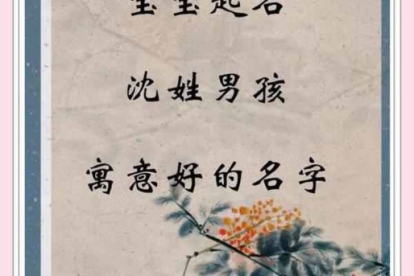 沈姓男孩名字大全-沈姓男孩起名字大全-沈姓名字大全姓名