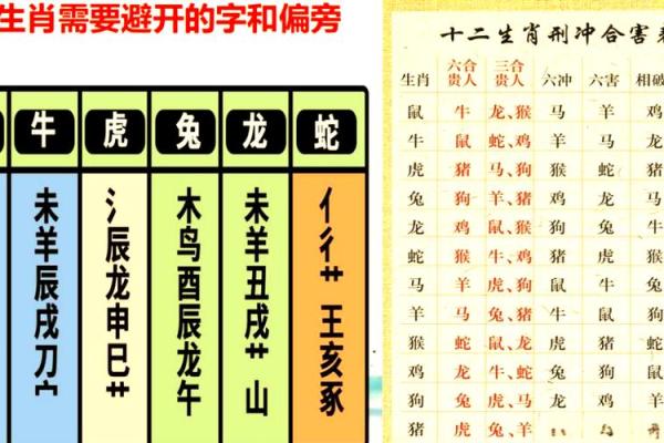 五格的五行属性-姓名学-姓名分析姓名