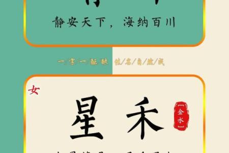 5月份出生的属兔男孩如何取名字姓名