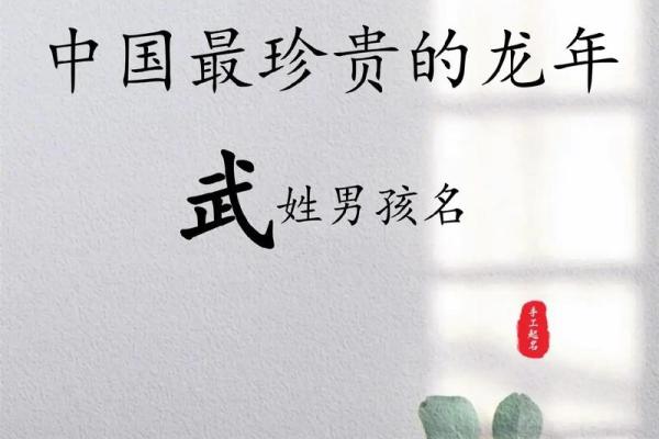 2019年3月25号未时出生的男孩起名方法姓名