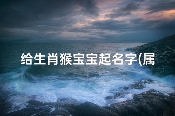 下午三点出生的属猴男孩如何取名，适合什么字姓名