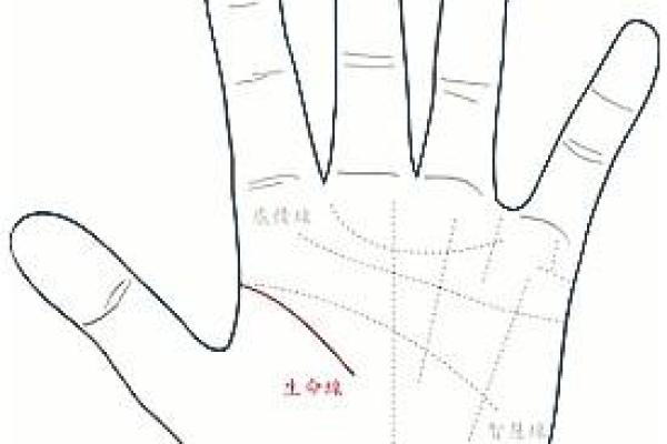 姓石的名人-姓名学-华易算命网姓名