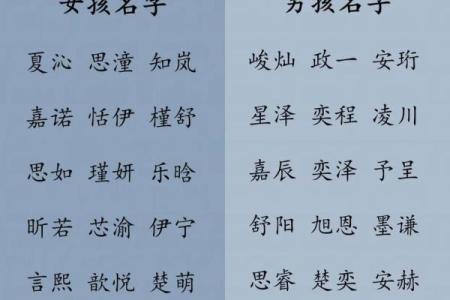 2019年6月23号卯时出生的男孩应该起什么样的名字姓名