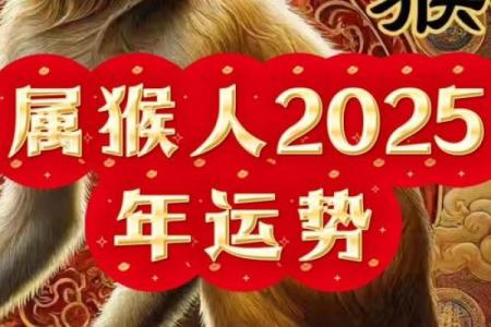 下午三点出生的属猴男孩如何取名，适合什么字姓名