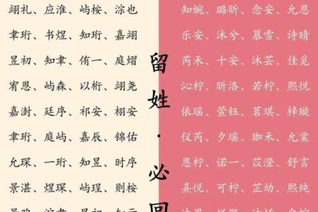 论如何给属鼠午时出生的男孩起名姓名