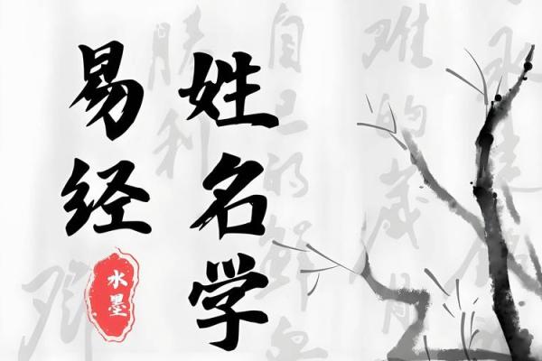 属狗卯时出生的男孩应该如何起名，宜用什么字姓名