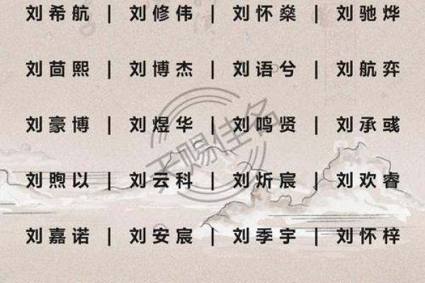 2019年6月28号寅时出生的男孩要怎么起名字姓名