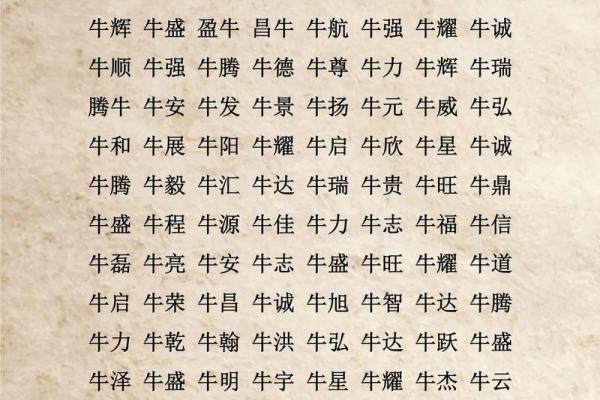 晚上1点出生的属牛男孩宜用什么字取名姓名