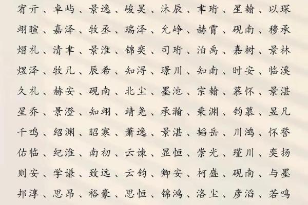 2019年3月27号午时出生的男孩起名时要注意什么姓名