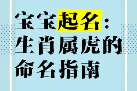 10月份出生的属虎男孩该怎么取名字姓名