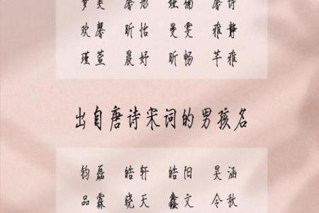 2019年3月31号子时出生的男孩如何起名姓名
