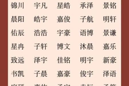 属蛇亥时出生的男孩应该如何起名，适用哪些字姓名