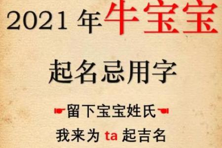晚上1点出生的属牛男孩宜用什么字取名姓名