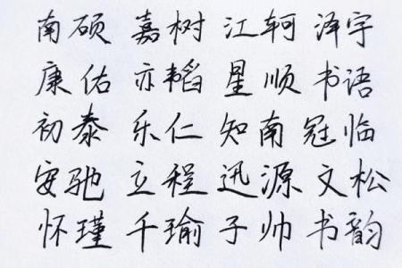 2019年3月26号亥时出生的男孩要怎么起名字姓名