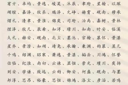 2019年3月27号午时出生的男孩起名时要注意什么姓名