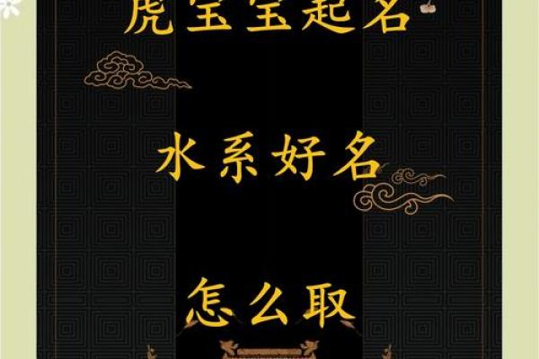 晚上9点出生的属虎男孩如何起名，宜用什么字姓名