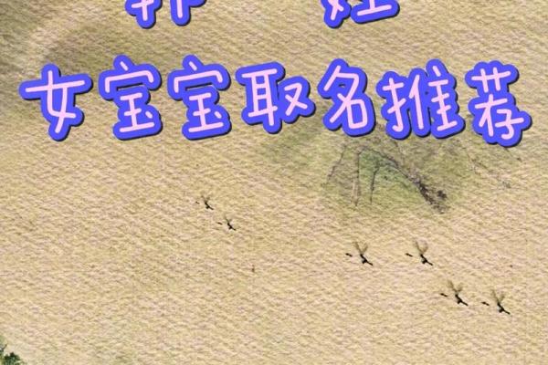 韩姓男孩名字大全-韩姓男孩起名字大全-韩姓名字大全姓名