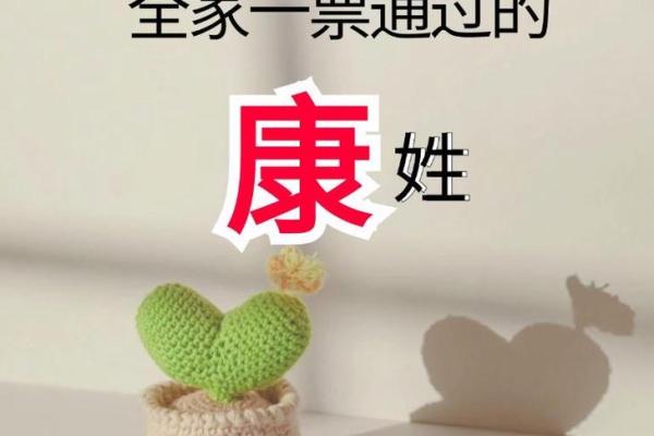 康姓男孩名字大全-康姓男孩起名字大全-康姓名字大全姓名