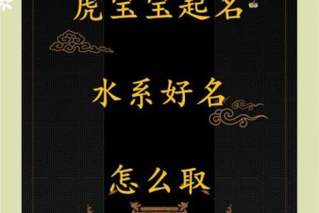晚上9点出生的属虎男孩如何起名，宜用什么字姓名