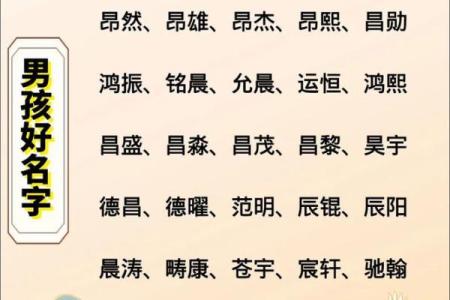 2019年6月14号子时出生的男孩应该起什么样的名字姓名