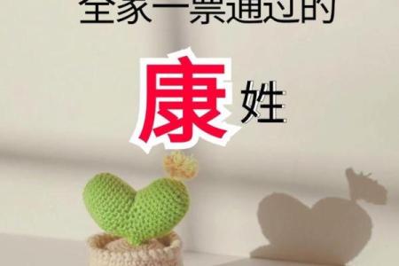 康姓男孩名字大全-康姓男孩起名字大全-康姓名字大全姓名