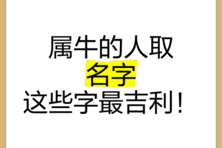 晚上出生的属牛男孩取名技巧大全姓名