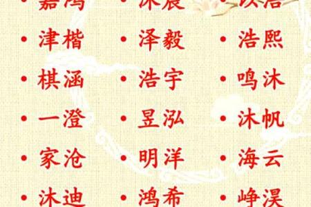 2019年3月23号丑时出生的男孩要怎么起名字姓名