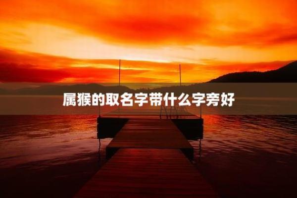2月份出生的属猴男孩要怎样取名呢？姓名