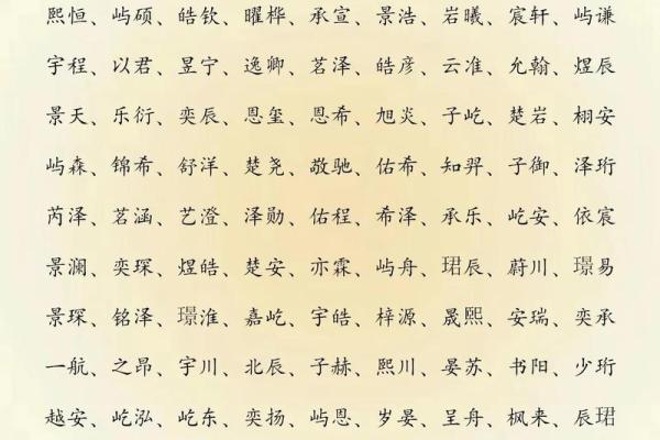 2019年6月11号子时出生的男孩如何起名姓名