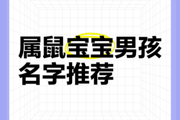 晚上1点出生的属鼠男孩取名大全姓名