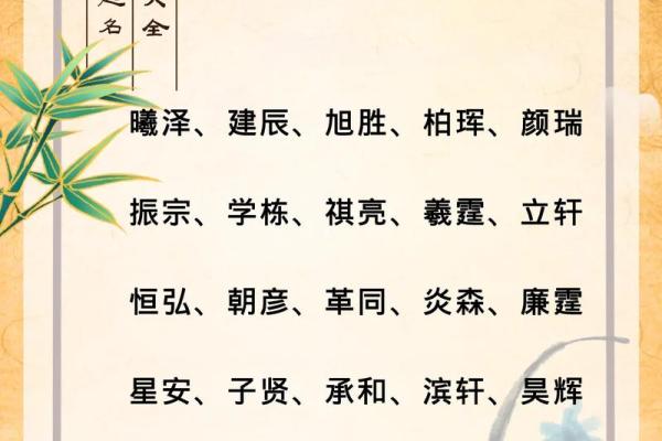 2019年5月15号子时出生的男孩要怎么起名字姓名