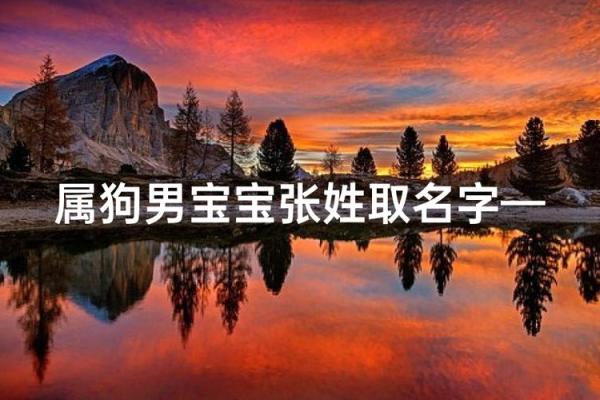 晚上7点出生的属狗男孩怎么取名，用什么字好姓名