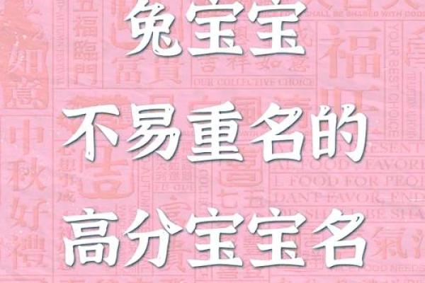 半夜出生属兔的男孩应该怎么样去名字呢姓名