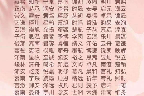 2019年4月5号子时出生的男孩如何起名姓名