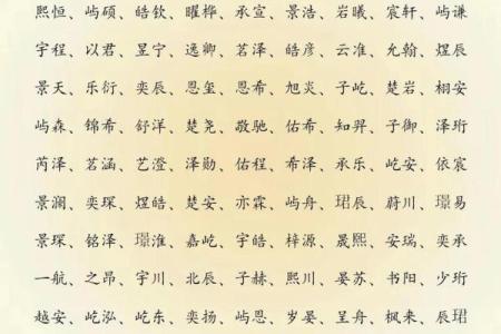 2019年6月11号子时出生的男孩如何起名姓名