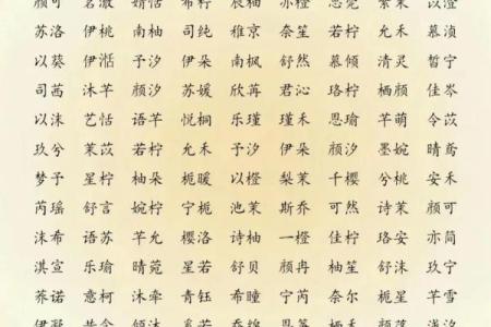 2019年3月8号子时出生的男孩要怎么起名字姓名