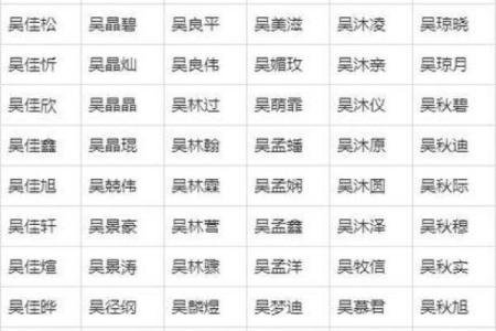 费姓女孩名字大全-费姓女孩起名字大全-费姓名字大全姓名