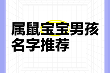 晚上1点出生的属鼠男孩取名大全姓名
