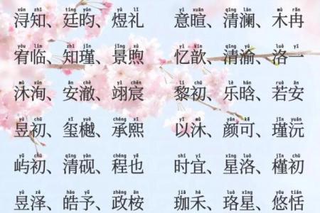 2019年6月21号丑时出生的男孩要怎么起名字姓名