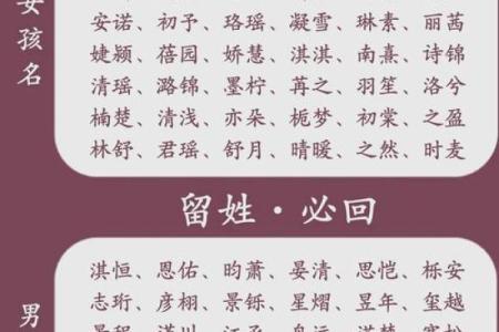 半夜出生属兔的男孩应该怎么样去名字呢姓名