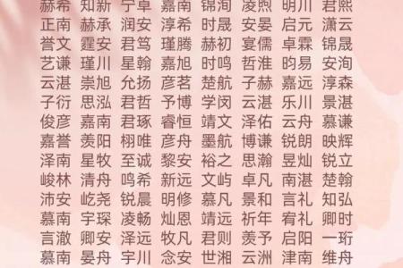 2019年4月5号子时出生的男孩如何起名姓名