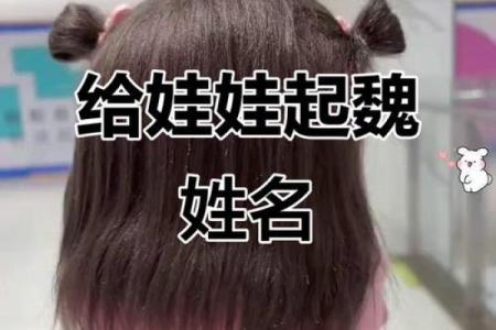 魏姓女孩名字大全-魏姓女孩起名字大全-魏姓名字大全姓名