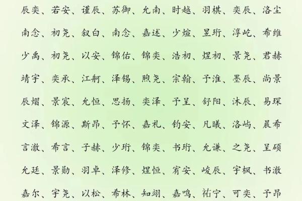 2019年3月17号巳时出生的男孩应该起什么样的名字姓名