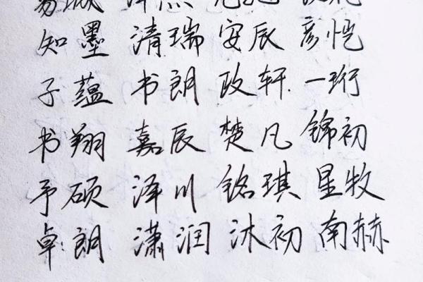 2019年3月25号子时出生的男孩如何起名姓名